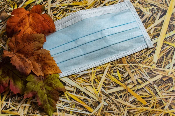 concept will we still be wearing covid masks in the fall with a blue paper mask laying on a hay bale background with autumn leaves