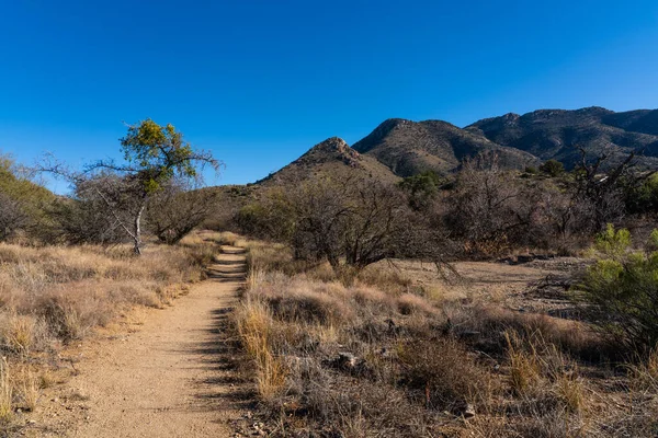 Hiking Path Fort Bowie National Historic Park Mountains Dirt Path — Stock Photo, Image