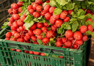 Turplar, Portekiz, Loule 'daki meyve ve sebze pazarında satılan renkli bir sepet turp..