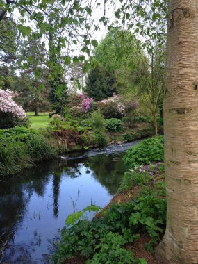 Glasnevin, Dublin, İrlanda 'da bahar geldi. İlkbaharda Tolka Nehri kıyıları çok çeşitli renkleri gösteriyor.