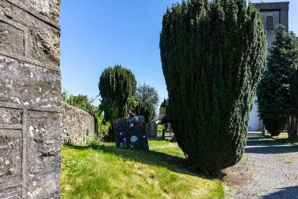 Része Régi Temető Mellett Johns Templom Írország Templom Clondalkin Temető — Stock Fotó