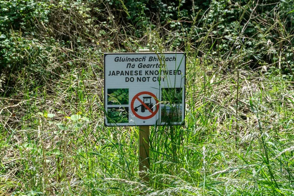 Aviso Dos Perigos Corte Knotweed Waterstown Park Palmerstown Dublin — Fotografia de Stock