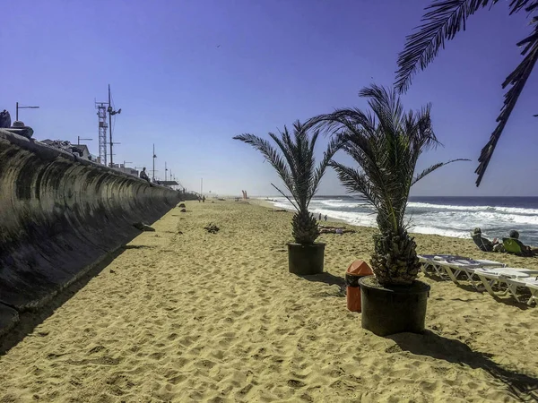 Scena Plażowa Palmami Espinho Portugalia Piękny Słoneczny Dzień — Zdjęcie stockowe