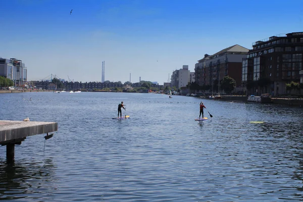 Stand Paddle Boarding Grand Canal Dock Dublin Ireland — Stock fotografie