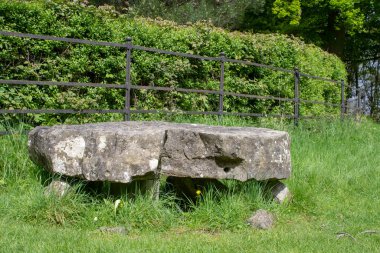 Knockmaree Dolmen Phoenix Park, Dublin, İrlanda 'da. Yaklaşımından flört etmek. MÖ 3000 yılında şehrin en eski anıtıdır. Aynı zamanda Linkardstown Tomb. olarak da bilinir. Bir tür terörist mezarı..