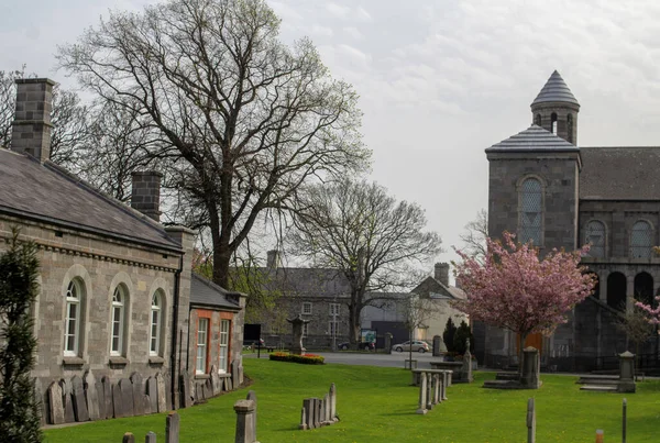 Cimetière Arbour Hill Dublin Irlande Avec Église Sacré Cœur Arrière — Photo