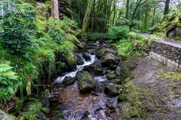 Río Deligeenagh Corre Través Los Jardines Subtropicales Kells Bay Gardens — Foto de Stock