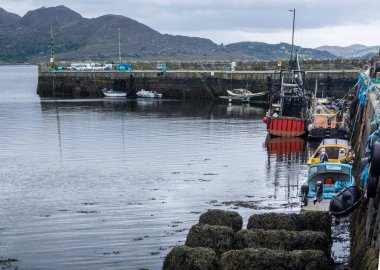 Tuoist 'teki küçük liman, Kerry ilçesi, İrlanda, Beara Yarımadası.