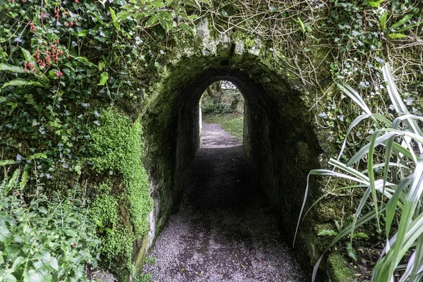 Een Stenen Tuinpoort Bedekt Met Mos Klimop Onder Een Weg — Stockfoto