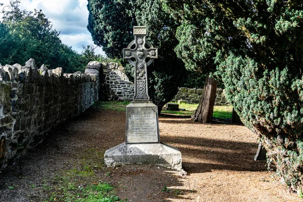 Palmerstown Dublin Írország Yew Fák Egy Régi Templom Temetőjében Néhány — Stock Fotó