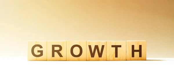 Word Growth Wykonane Drewnianych Klocków Budowlanych — Zdjęcie stockowe