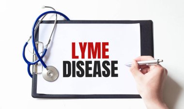 Kağıt tabakta Lyme Hastalığı yazıyor, tıbbi konsept.