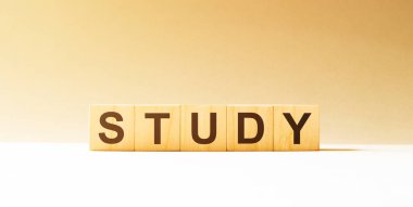 Kelime Study ahşap yapı taşlarından yapılmış.