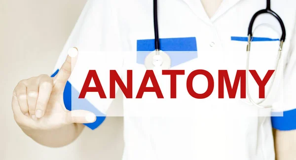 Arzt Besitz Einer Karte Mit Text Anatomie Medizinisches Konzept — Stockfoto