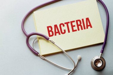 Mor arkaplanda sarı listeli bir steteskop ve metin BACTERIA