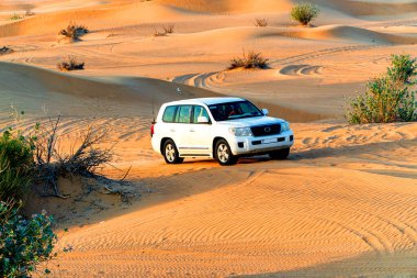 Bir safari sırasında çöl kumullarında bir off-road aracı.