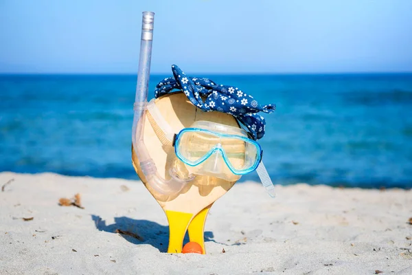 Plaj Raketleri Kum Maske Şnorkel Bunlar Plaj Tatilleri Kristal Berrak Stok Resim