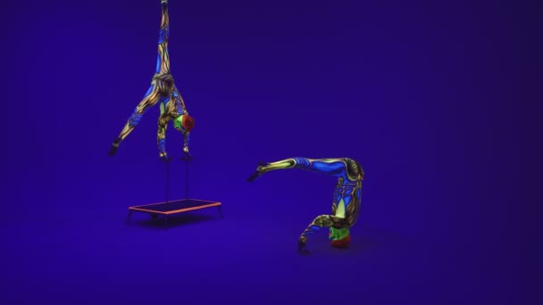 Acrobatic Kembar Neon Costumesto Melakukan Stand Hands Head Blue Cyclorama — Stok Video