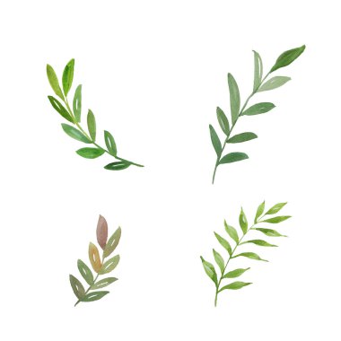 suluboya yaprak seti