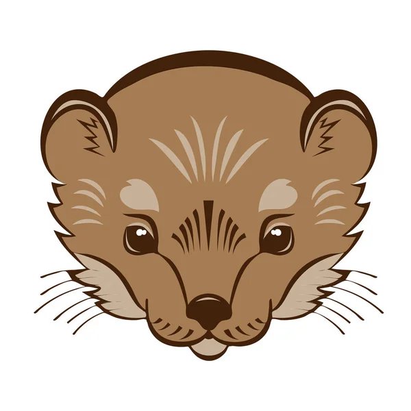 Cabeza de armiño logo. icono de vector mascota estilizada . — Vector de stock