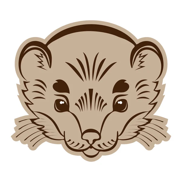 Cabeza de armiño logo. icono de vector mascota estilizada . — Vector de stock