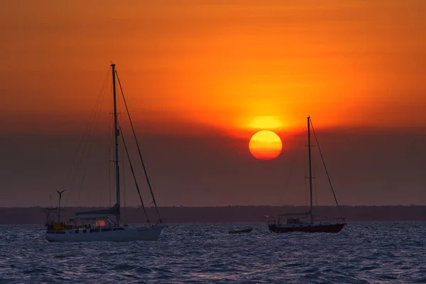 Barcos à vela no mar ao pôr-do-sol — Fotografia de Stock