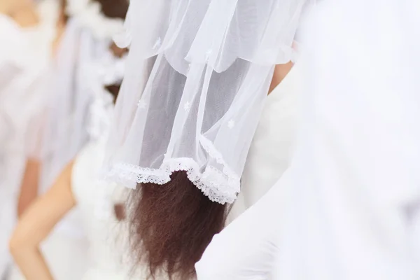 Brautschleier Auf Brauthaar Bei Hochzeit Mit Schöner Frisur — Stockfoto