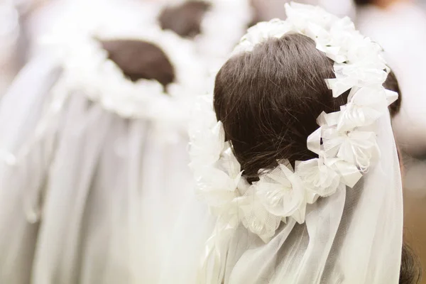 Véu Noiva Cabelo Noiva Casamento Com Belo Estilo Cabelo — Fotografia de Stock