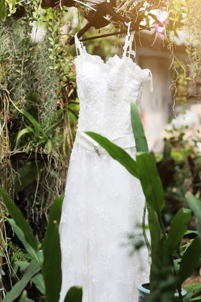 Abito Sposa Appeso Ramo Dell Albero Giardino — Foto Stock