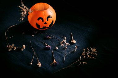 Cadılar Bayramı balkabağı kafası, kuru çiçekler, siyah elbiseler, doğal gölge ve aydınlık. Cadılar Bayramı konsepti.