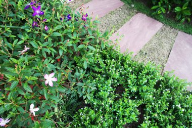 Bahçede kaldırım döşeme için taş ve çimento tasarımı fikri. Tasarım ve Dekoratif Bahçe.