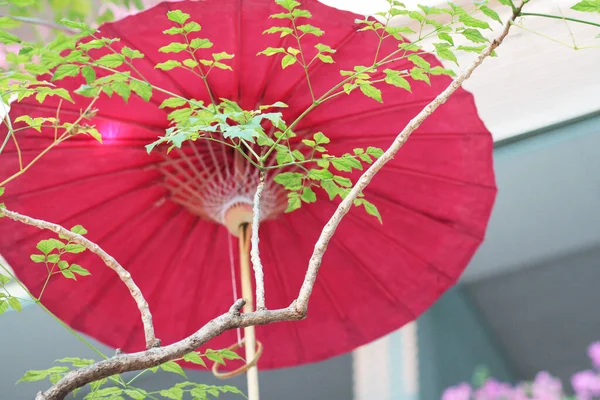 Handgemaakte Oude Paraplu Het Noorden Van Thailand Lanna Paraplu Gemaakt — Stockfoto