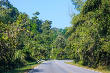 Dağdaki ve ormandaki viraj yolu, Tayland 'daki köy yolu.