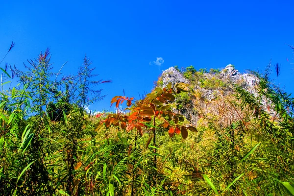 美しい岩だらけの石灰岩の山と青い空の緑の森の風景タイ チェンマイのチェンマイ国立公園 — ストック写真