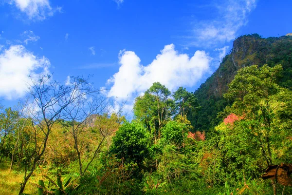 Paisagem Bonita Pedra Calcária Rochosa Montanha Floresta Verde Com Céu — Fotografia de Stock