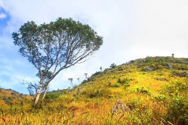 Prachtig Landschap Van Rotsachtige Kalksteen Berg Groen Bos Met Blauwe — Stockfoto