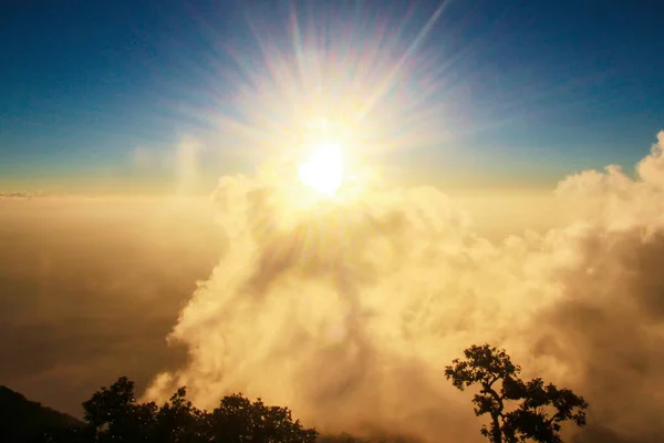 Gouden Licht Met Zonsopgang Ochtend Lucht Wolk Mist Bedekken Jungle — Stockfoto