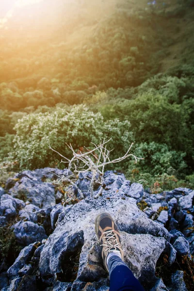 Closed up hiking shoes of Woman and standing on Rock cliff while beautiful sunrise shining to forest on the mountain. Success life and freedom concept.