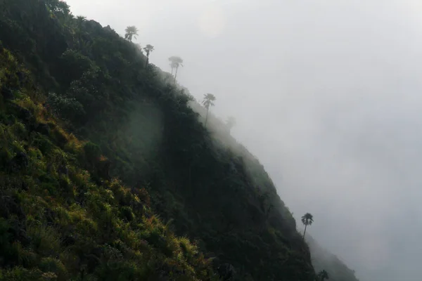 山の朝の霧とタイ北部の森の霧に輝く日の出の美しい風景自然光 — ストック写真