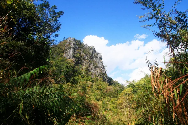 山に青い空の緑の森とジャングル — ストック写真