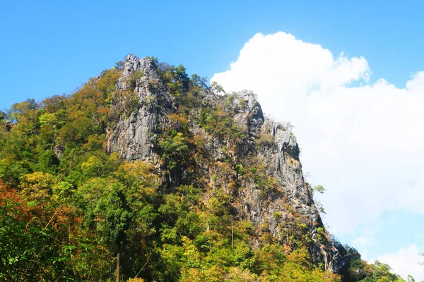 Groen Bos Jungle Met Blauwe Lucht Berg — Stockfoto