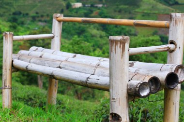 Tayland 'ın Chiangrai Eyaleti' nde orman ve dağdaki çay çiftliğinde çimenlerin üzerindeki bambu sandalye çok güzel bir manzaradır..