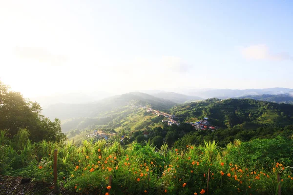 Aerial view Hill tribe village and Tea Plantation in sunrise on the mountain and forest is very beautiful flowers meadow in Chiangrai Province, Thailand