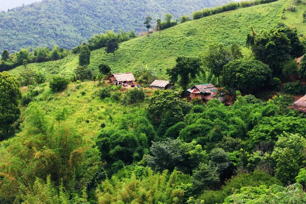 Légi Kilátás Hill Törzs Falu Tea Ültetvény Napfelkeltekor Hegyen Erdőben — Stock Fotó