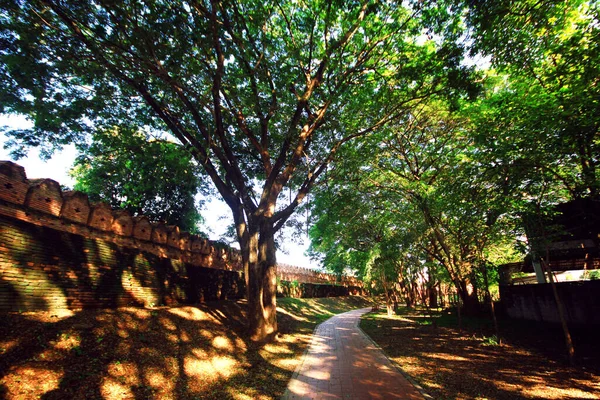 Cesta Zahradě Blízkosti Historické Městské Cihlové Zdi Provincii Nan Thajsko — Stock fotografie