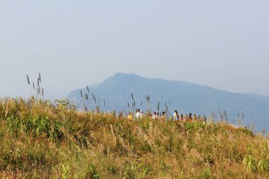 CHIANGRAI, THAILAND-FEBRUARY 13, 2016: Tayland 'ın kuzeyindeki Phu Chee Fah tepesinde kışın dağ ve mavi gökyüzü vadisinde doğa ile iç içe olmak