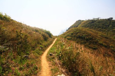 Tayland 'daki Doi Pha Tang tepesinde doğal patika ve kuru otlaklar.