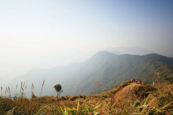 Chiangrai Thailand February 2016 Tourism Hiker Admire Nature Valley Mountain — стоковое фото