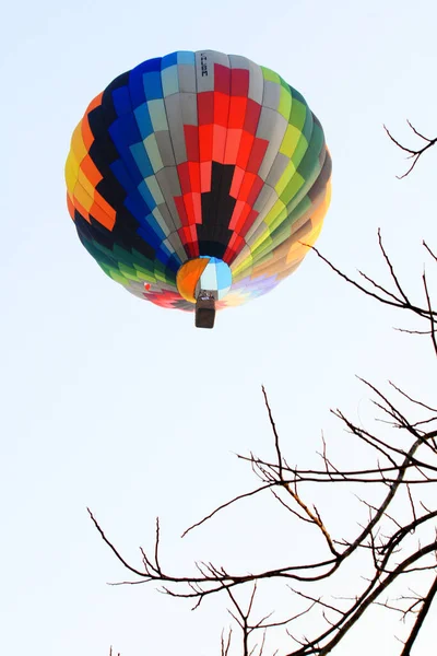 Chiangrai Thailand February 2016 Balões Coloful Voam Livremente Atmosfera Com — Fotografia de Stock