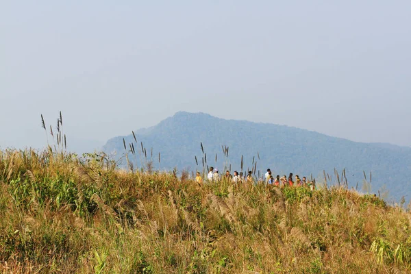 Chiangrai Tailandia Febrero 2016 Turismo Excursionista Admire Con Naturaleza Valle — Foto de Stock